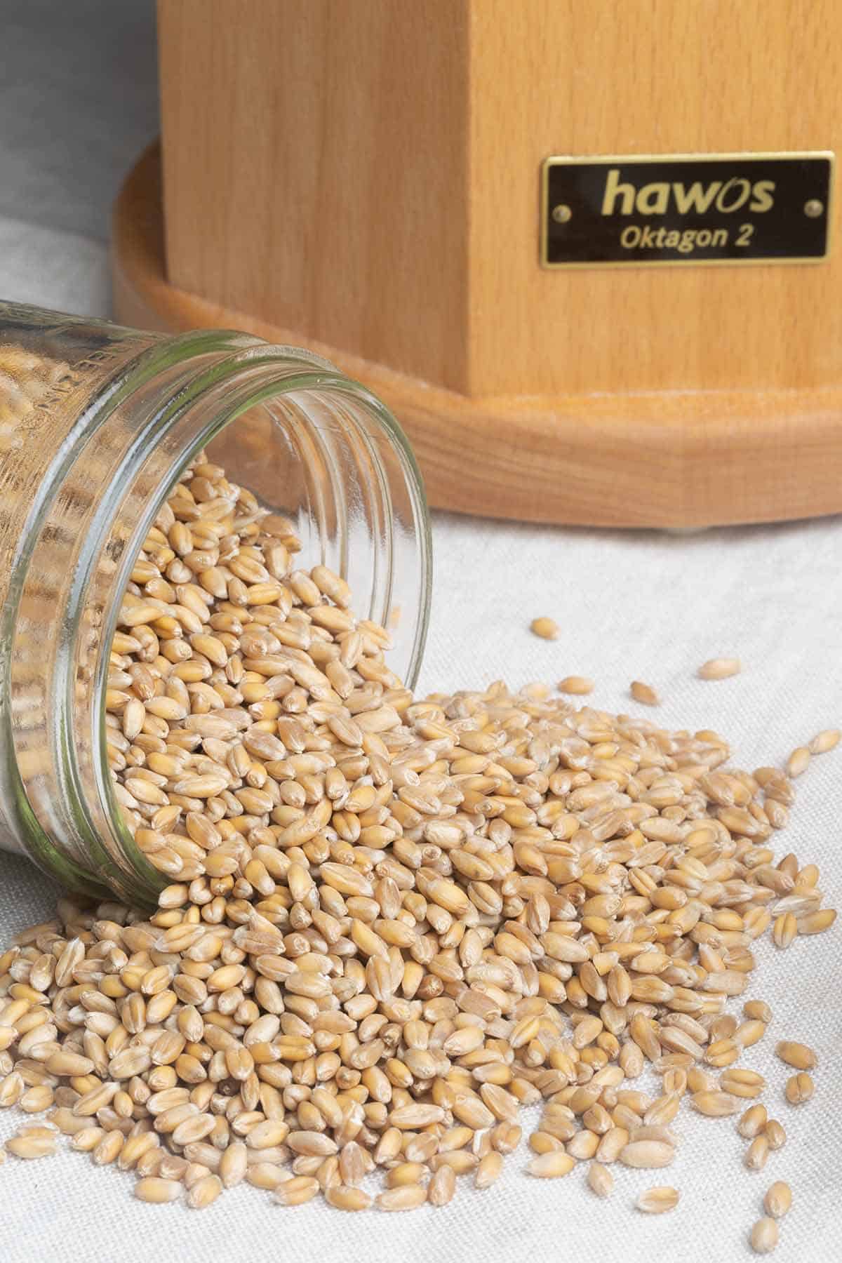 A jar of grains tipped over with a grain mill in the background.