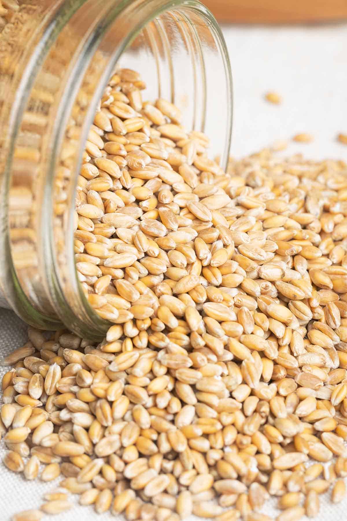 A jar of grains tipped over.