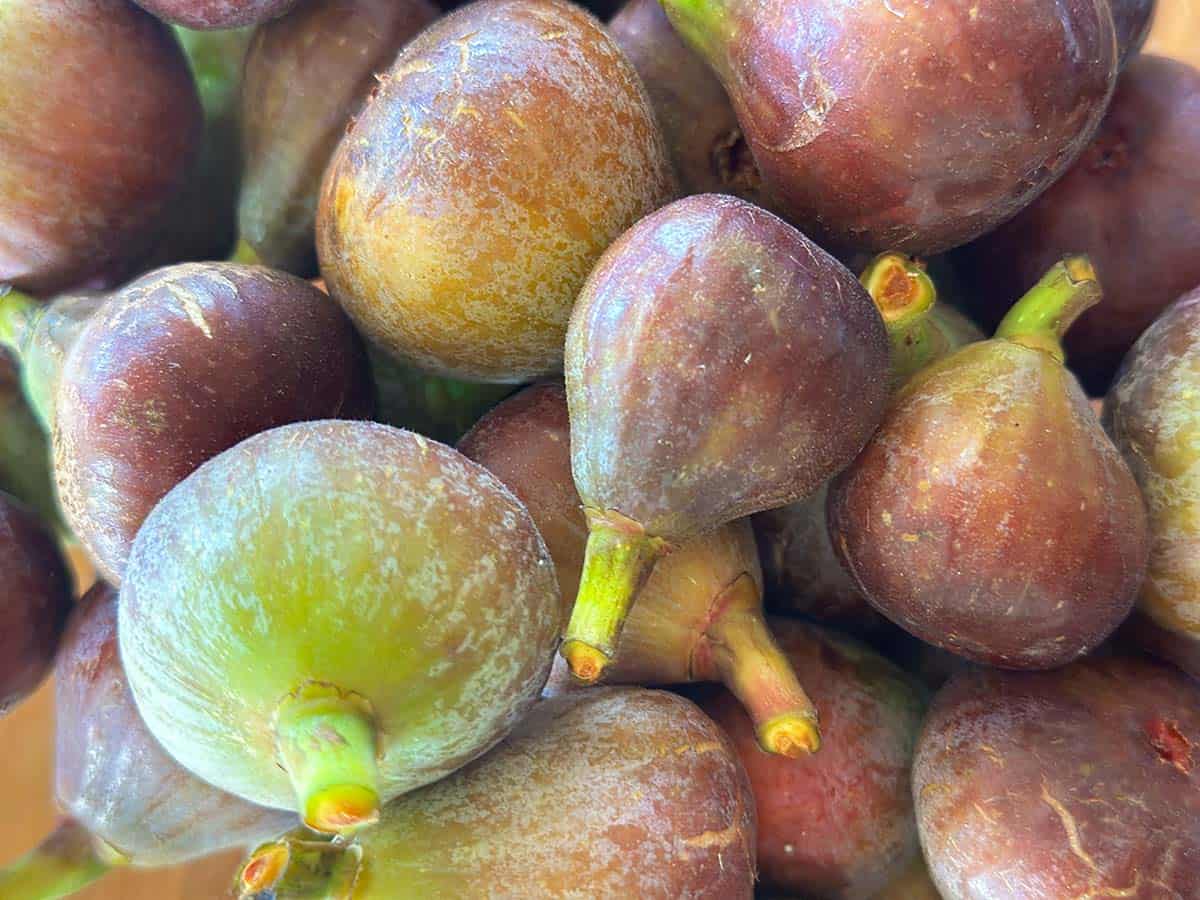 Close up of figs
