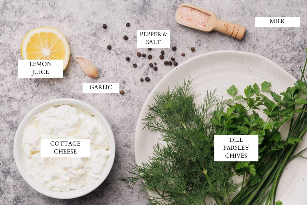 Ingredients laid out to make cottage cheese ranch dip.